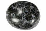 1 3/4" Polished Indigo Gabbro Palm Stone - Photo 2